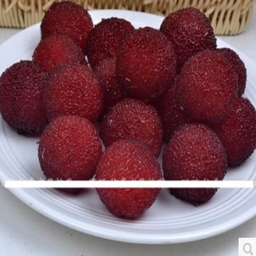 [協貿國際]   仿真楊梅