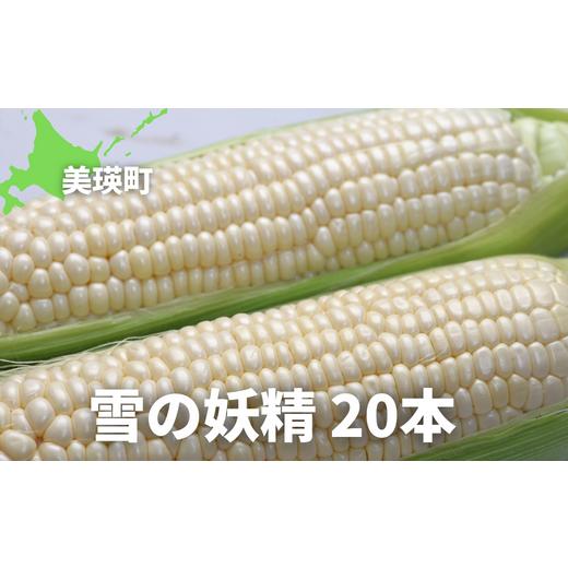 ふるさと納税 北海道 美瑛町 黒木農場　令和６年産　とうもろこし（雪の妖精）20本[020-53]