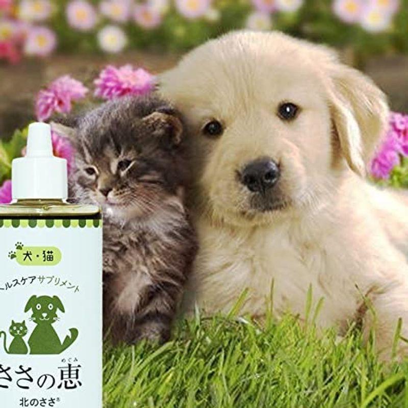 Petee ペッティー 犬猫用 天然成分 口臭ケア 北海道産クマザサ濃縮エキス（ペット用） (30ml)