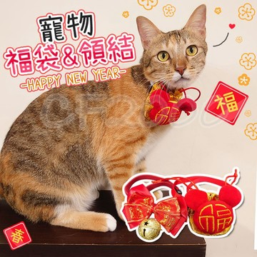 【寵物過好年🧧】寵物紅包袋 寵物紅包 紅包 寵物領結 寵物福袋 福袋 新年 物福袋 新年福袋【HP27】