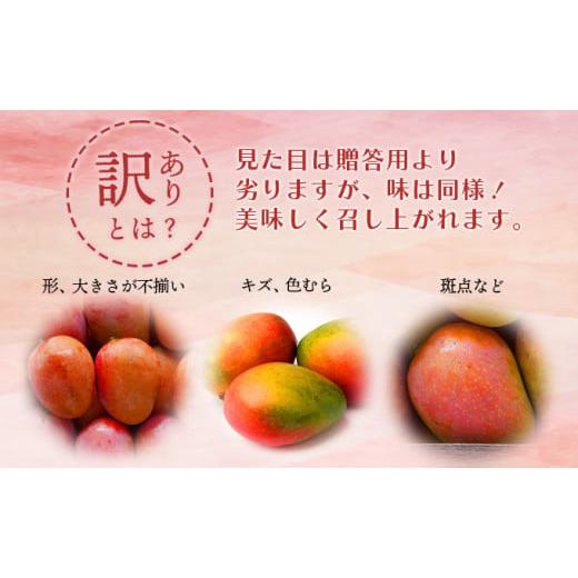 ふるさと納税 宮崎県 串間市 KU472 ご家庭用 宮崎完熟マンゴー1.5〜1.7 kg