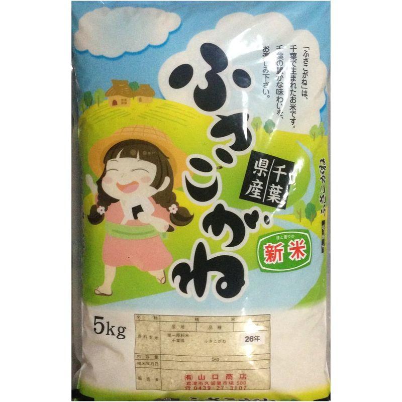 ふさこがね 令和4年産 千葉県産 玄米 10kg Brown rice 選別済