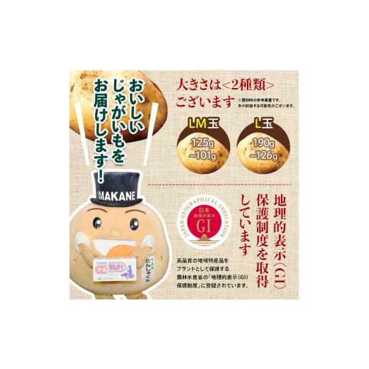 ふるさと納税 北海道 今金町 今金男しゃく（Lサイズ）約10kg（2024年10月発送） じゃがいも 男爵 いも だんしゃく 野菜 幻 北海道 …