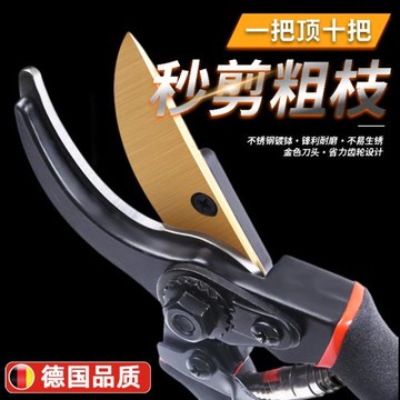 新款精工修剪樹枝專用剪刀花木剪修枝剪刀果樹木剪子園藝園林家用