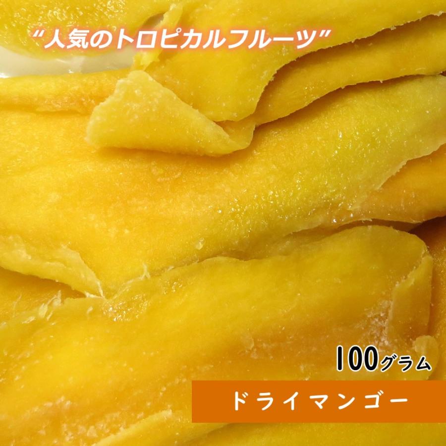 大地の生菓  ドライフルーツ ドライマンゴー 100g 送料無料 お試し 製菓材料 手土産 フルーツティー 非常食 クリスマス ギフト プレゼント 2023