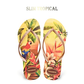 havaianas 2026新品✨Slim Tropical 海島黃 女款 夾腳拖 哈瓦仕拖鞋 沙灘拖-阿法.伊恩納斯