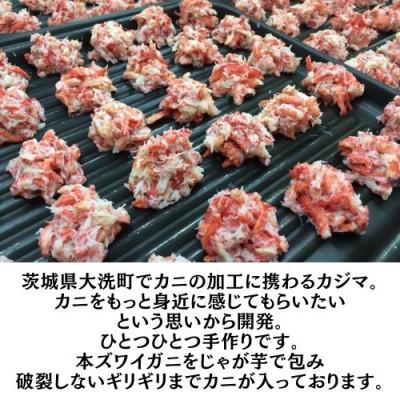 ふるさと納税 大洗町 レンジで簡単!調理済「ずわいがにたっぷりコロッケ」10個入