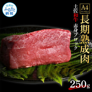 天下味 エイジング工法 熟成肉 土佐和牛 特選 赤身ブロック 250g エイジングビーフ 国産 牛肉 土佐 和牛 冷凍配送 真空パック お祝い 高知 芸西村 贈り物 贈答 ギフト