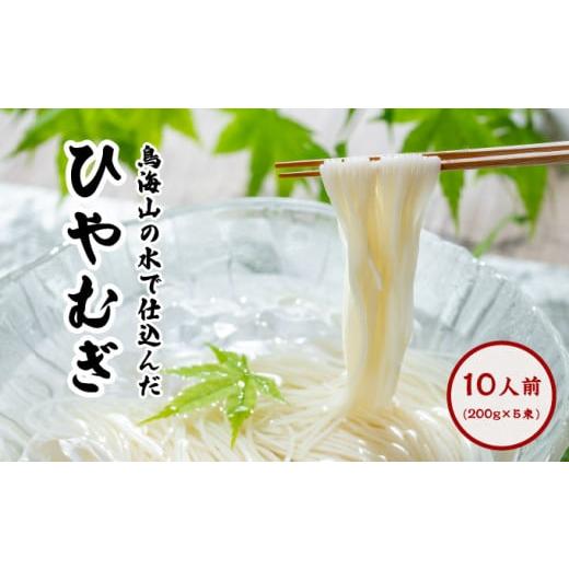 ふるさと納税 秋田県 にかほ市 ひやむぎ200g×5束（10人前 冷麦 冷や麦）