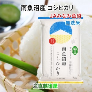 令和５年産 新米 コシヒカリ 新潟県 南魚沼 JAみなみ魚沼農協 特Ａ地区 南魚沼産 コシヒカリ5kg 無洗米 雪国の恵み 通常包装