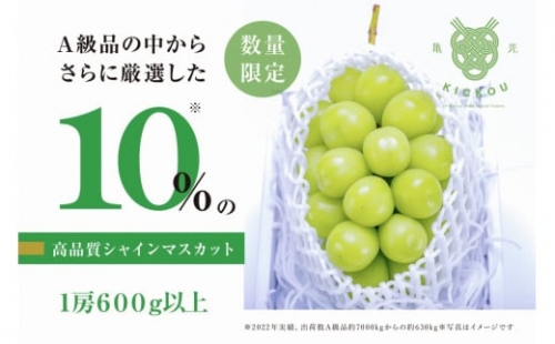 〖数量限定〗粒が詰まった高品質なシャインマスカット「亀光」1房600g以上（RO）B-156