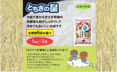 栃木県鹿沼市産 とちぎの星 無洗米 5kg 6回お届け 令和5年産 水稲うるち精米 単一原料米 お米  特A 大粒