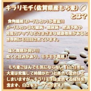 ふるさと納税 CI201_佐賀県産『もち麦』食べ比べ！キラリモチ１kg、ダイシモチ１kg 佐賀県みやき町