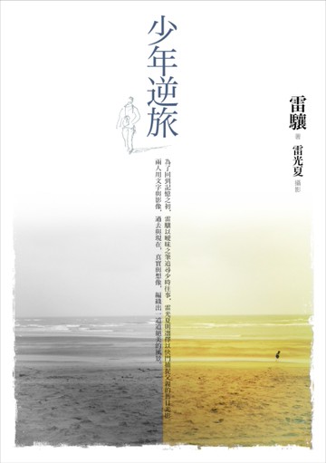 少年逆旅[二手書_良好]