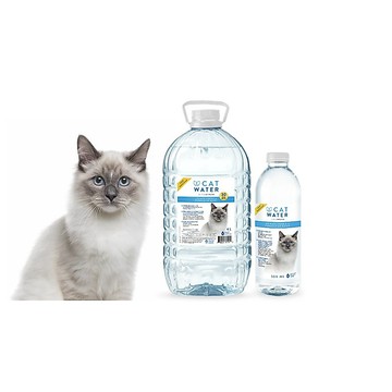 COCO【4桶免運組🔥】Catwater促泌康 喵喝水4L大瓶裝(貓咪限定飲用水.泌尿保健 ) 尿道保健 腎臟保健