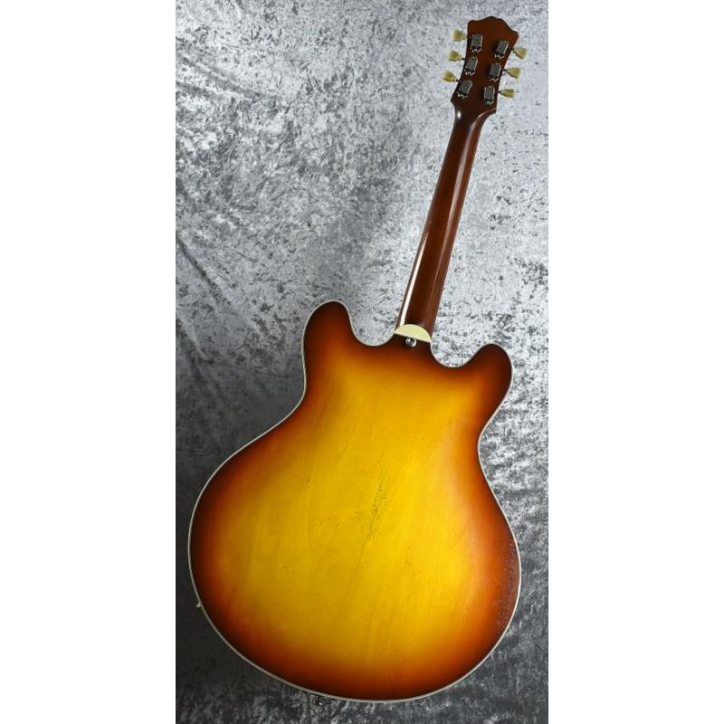 Eastman T-64VT 《Golden Burst》S N P2300440