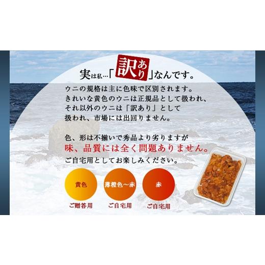 ふるさと納税 北海道 弟子屈町 1261.訳あり うに チリ産 冷凍 ほたて ウニ 100g 帆立 300g 雲丹 不揃い うに わけ あり 海鮮 丼 海鮮丼 刺身 うに丼  自宅用 …