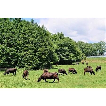 ふるさと納税 国産 黒毛和牛 経産牛 牛肉モモ焼肉用 約900g 岡山県新見市