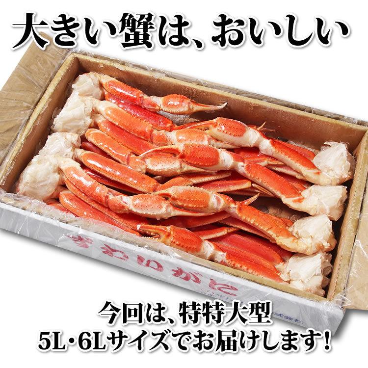 お歳暮 御歳暮 ギフト 2023 カニ かに 蟹 特特大 ずわいがに 脚 3kg  3キロ 海鮮 ボイル 蟹 足 脚 グルメ ギフト 送料無料