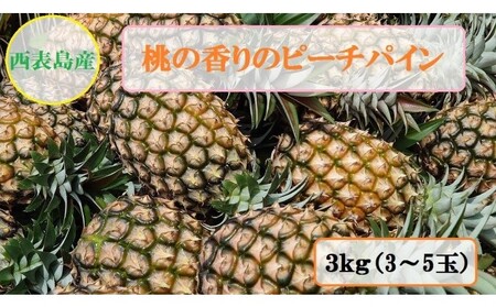 2024年 先行予約 ピーチパイン 約3kg 3～5玉 桃の香り ますみ農園 パイン 果物 フルーツ パイン