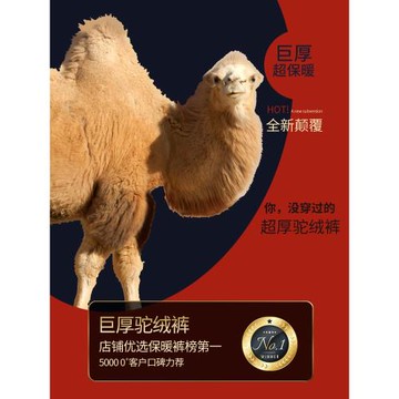 加厚東北駝絨中老年護膝女士棉褲