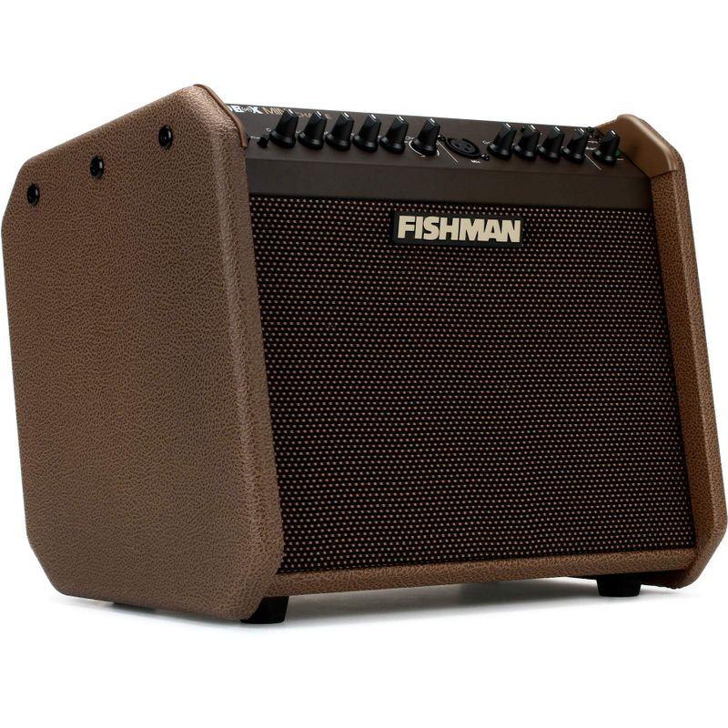 FISHMAN フィッシュマン ラウドボックス・ミニ・チャージ 60W アコースティックギターアンプ BT内蔵 小型・軽量・充電バッテリー式