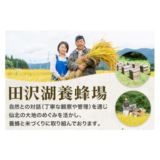 ふるさと納税 秋田県 仙北市 秋田県産 あきたこまち 10kg 新米 令和5