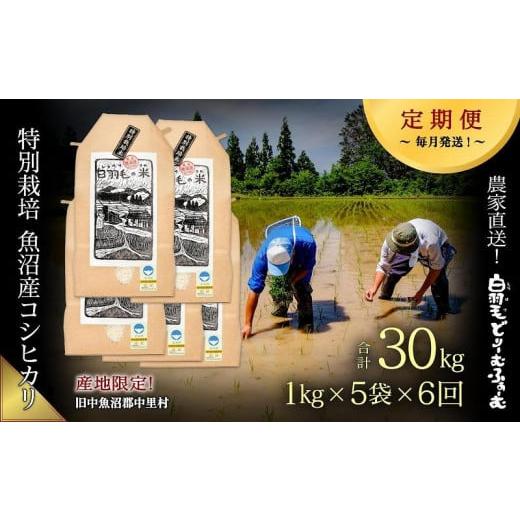 ふるさと納税 新潟県 十日町市 ≪令和5年産≫農家直送！魚沼産コシヒカリ特別栽培「白羽毛の米」精米5kg(1kg×5袋)×6回  計30k…