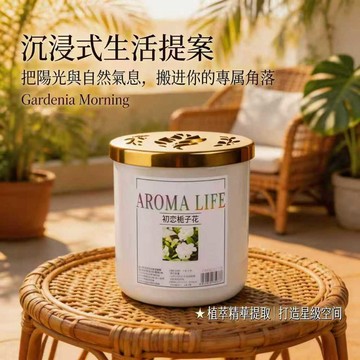 隔日到貨 固體香膏 室內香膏 香氛膏 居家香氛 房間香氛 固態香膏 芳香膏 車用香膏 廁所香氛 室內香氛 香膏 擴香膏
