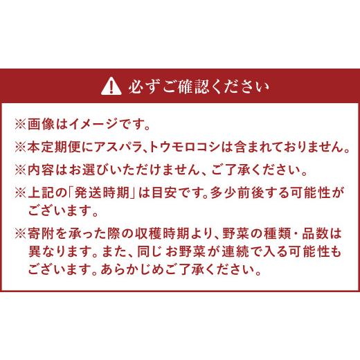 ふるさと納税 北海道 北広島市  季節の野菜詰め合わせ 〜有機野菜セットB〜