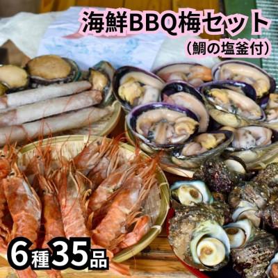 ふるさと納税 南知多町 海鮮バーベキューセット6種35品(鯛の塩釜付)BBQ8人前 CAS冷凍 牡蠣、海老、イカ、サザエ等