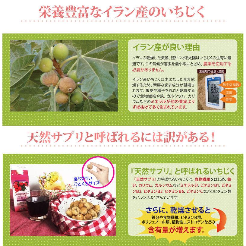 いちじく 無添加・農薬不使用　イラン産　ドライイチジク　100g