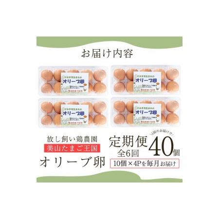 ふるさと納税 No.779 ＜定期便・全6回(連続)＞鹿児島県産美山オリーブ卵(10個×4P×6ヶ月連続) 鹿児島県日置市