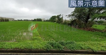 桃園市觀音區新坡市區旁都計內農地｜桃園市觀音區大同段