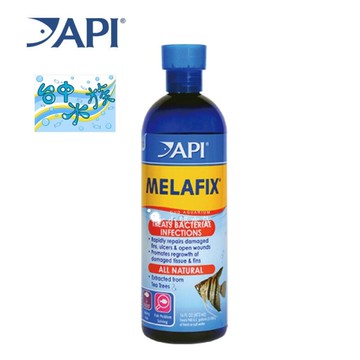 [ 台中水族 ]API 魚博士 天然草本 天然茶樹處理劑 473ml