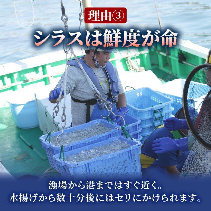 静岡県産 釜揚げしらす［特A品質］1kg（250g×4）しらす シラス 釜揚げ 無添加 無漂白 冷凍 用宗港 静岡 駿河湾 送料無料