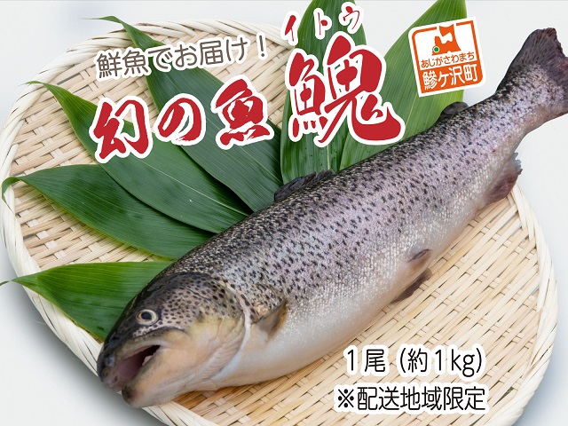 鮮魚でお届け！幻の魚「イトウ」1尾(約1kg)※配送地域限定