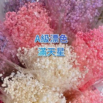 現貨🔺大把批發價 90克 A級漂色滿天星 永生花 漂白 滿天星 乾燥花 花束 花圈 生日禮物 拍照道具 店面佈置 漸層