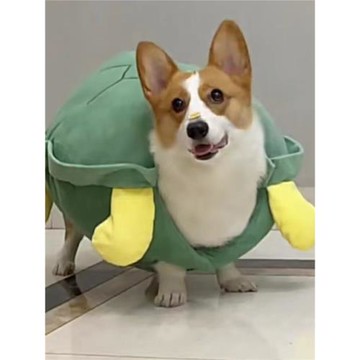 柯基烏龜裝狗狗衣服幼犬小狗可穿龜殼寵物比熊泰迪博美貓咪變身服