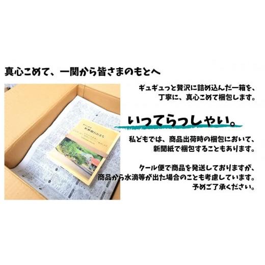 ふるさと納税 岩手県 一関市 収穫したばかりの新鮮野菜セットお試しコース 《7〜8品》 季節のお野菜 おまかせ お楽しみ 獲れたて…