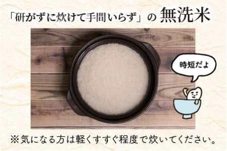  定期便 ≪6ヶ月連続お届け≫ 福井県のブランド米 いちほまれ 無洗米 10kg × 6回 計60kg  [K-6155]