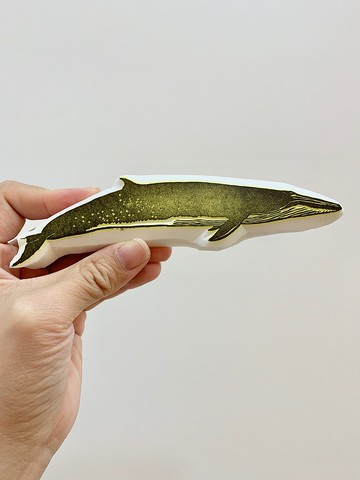 【鯨豚印章】布氏鯨