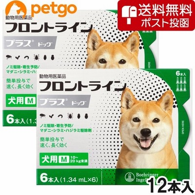 在庫処分 2箱セット 猫用フロントラインプラスキャット 6本 6ピペット 動物用医薬品 猫用品 Rollonupgaming Com