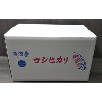 ふるさと納税 南魚沼市 特別栽培米　魚沼産コシヒカリ精米5kg×2