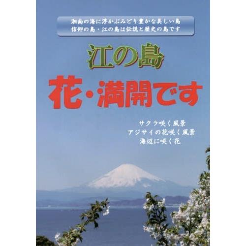 江の島 花・満開です 坪倉兌雄 写真・解説