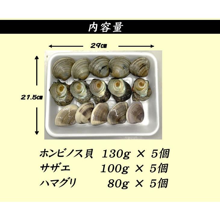 活貝３点セット　ハマグリ80ｇ５個　サザエ100ｇ５個　ホンビノス130ｇ５個　[貝セット]