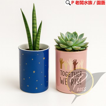 P老闆園藝~陶瓷盆 花盆 盆栽 植栽 多肉植物 室內培栽 陶瓷花器 質感花器 花器