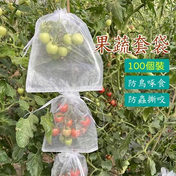 🔥高雄現貨🔥無花果套袋 多尺寸紗網袋 防蟲網 水果套袋 防蟲網袋 百香果套袋 草莓束口網袋 蔬果袋 束口紗網袋 糖果袋