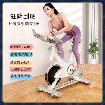 🌸精品優選🌸飛輪健身車🏆飛輪單車 可調節 動感室內單車 家用健身車 健身單車 健身腳踏車 磁控飛輪 健身車