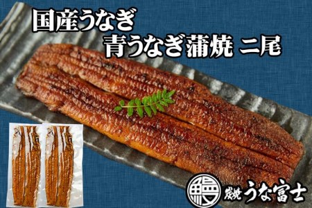 炭焼うな富士　国産特大うなぎ長焼二尾入り